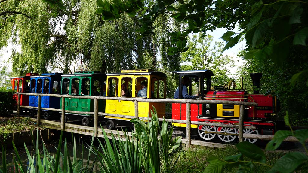 Wattman Maxi Express train travelling through a tree-lined city park with families enjoying a scenic community ride